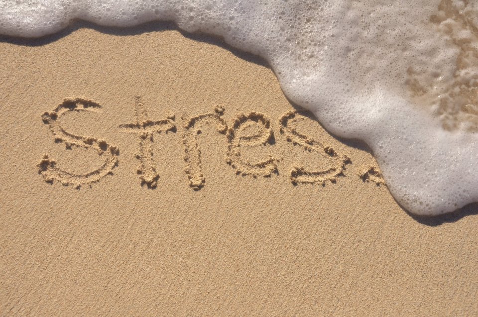 Stress and its Causes – Tips to manage the stress in your life.